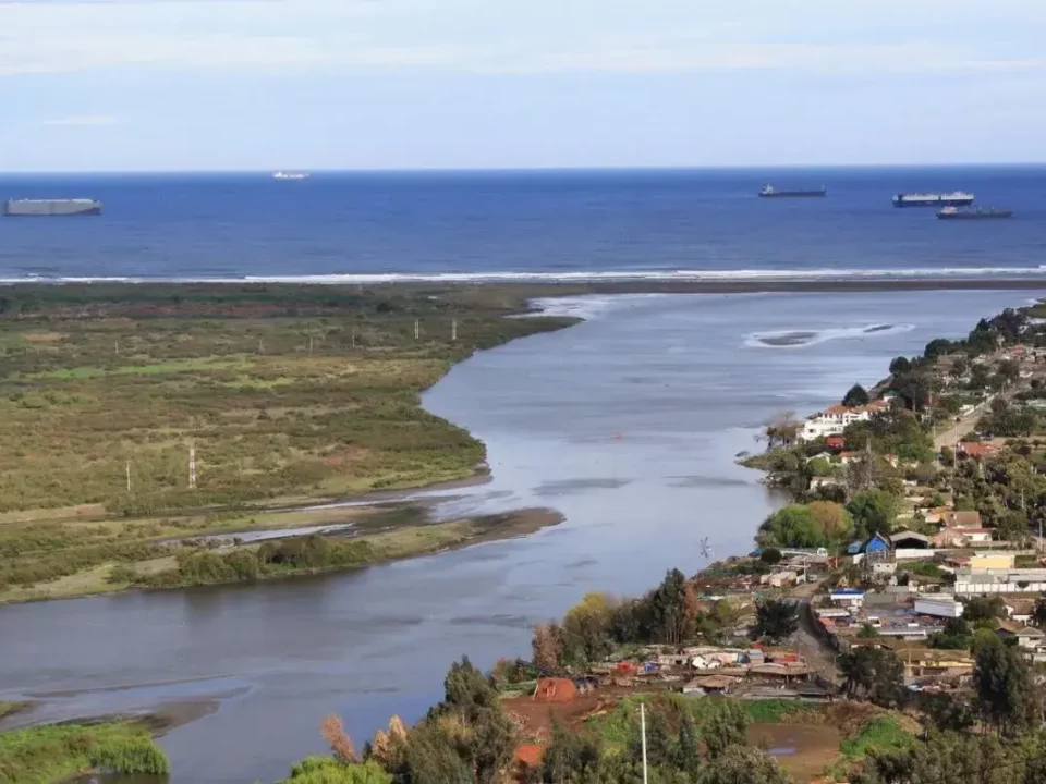 barcos en el mar cerca de parcelas con vegetacion